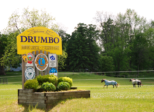 Welcome to Drumbo